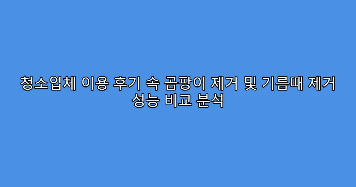 청소업체 이용 후기 속 곰팡이 제거 및 기름때 제거 성능 비교 분석