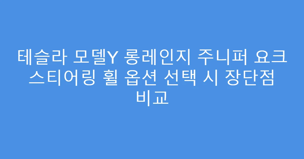 테슬라 모델Y 롱레인지 주니퍼 요크 스티어링 휠 옵션 선택 시 장단점 비교