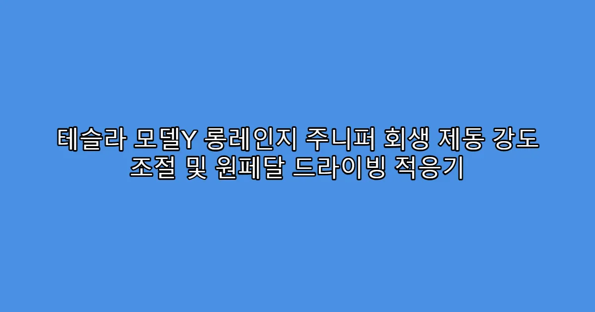 테슬라 모델Y 롱레인지 주니퍼 회생 제동 강도 조절 및 원페달 드라이빙 적응기
