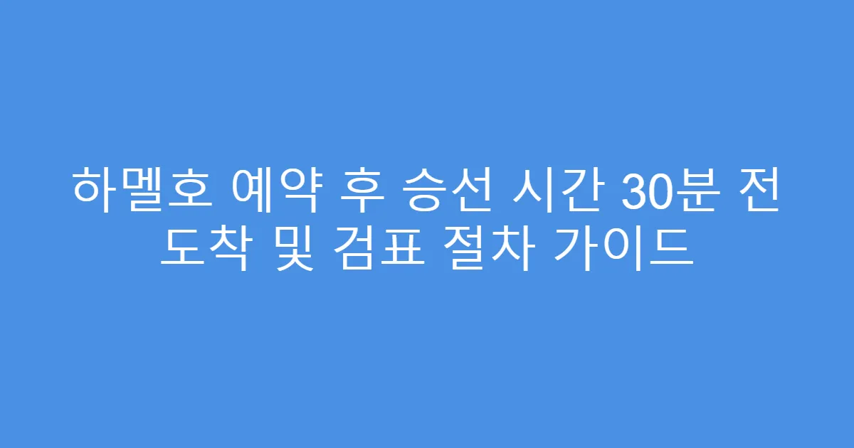 하멜호 예약 후 승선 시간 30분 전 도착 및 검표 절차 가이드