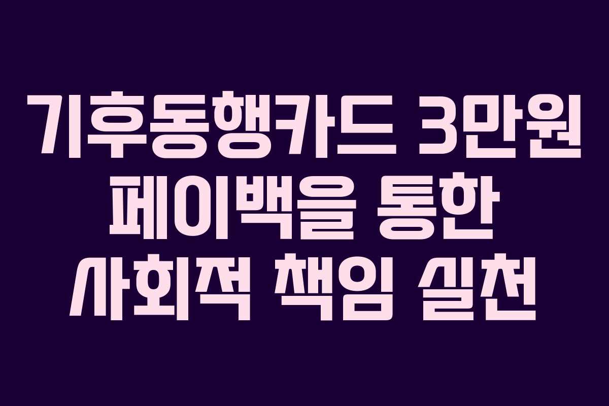 기후동행카드 3만원 페이백을 통한 사회적 책임 실천