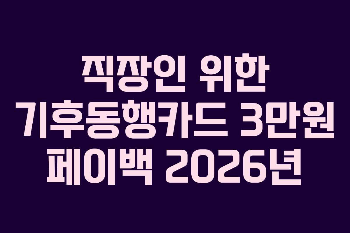 직장인 위한 기후동행카드 3만원 페이백 2026년