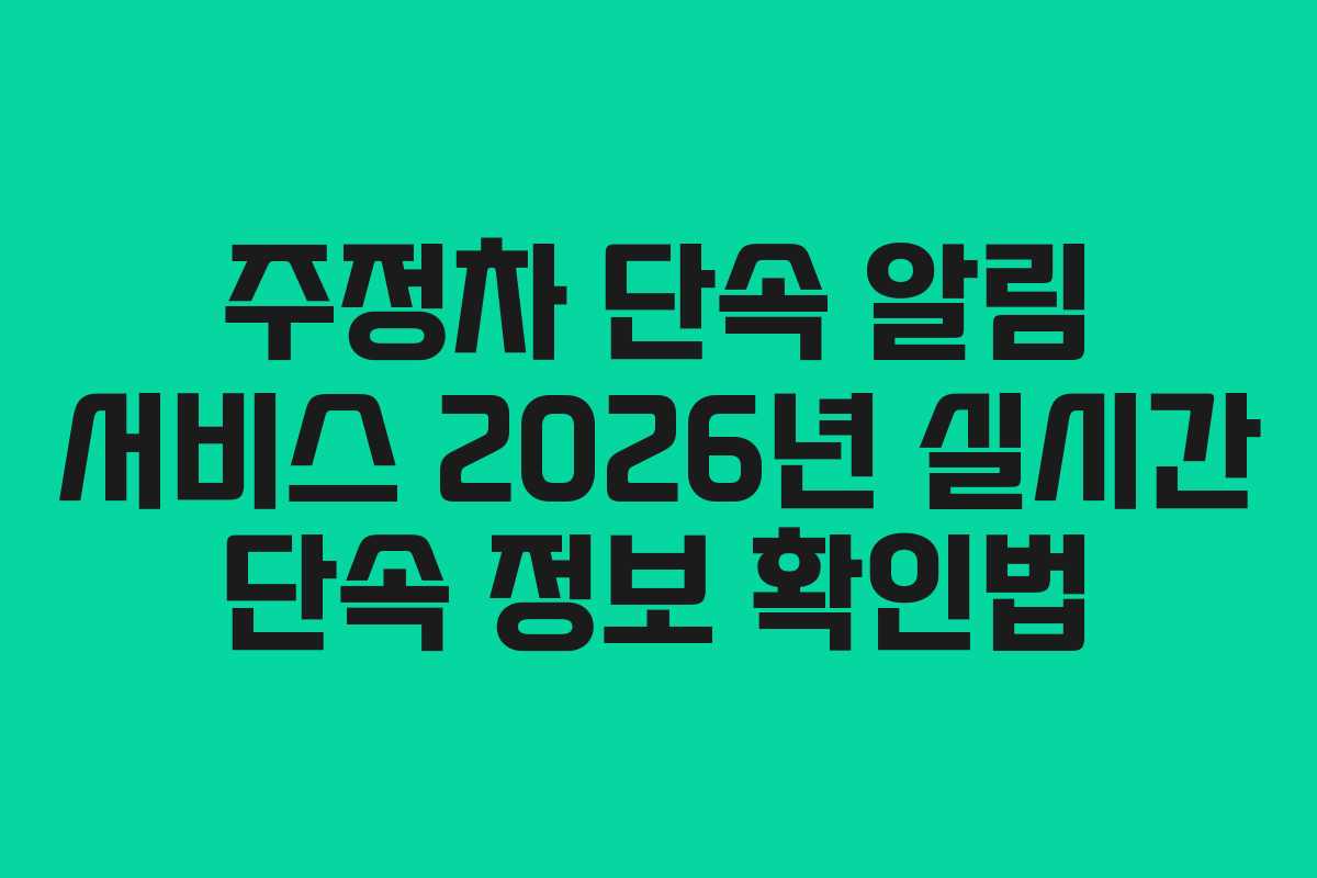 주정차 단속 알림 서비스 2026년 실시간 단속 정보 확인법