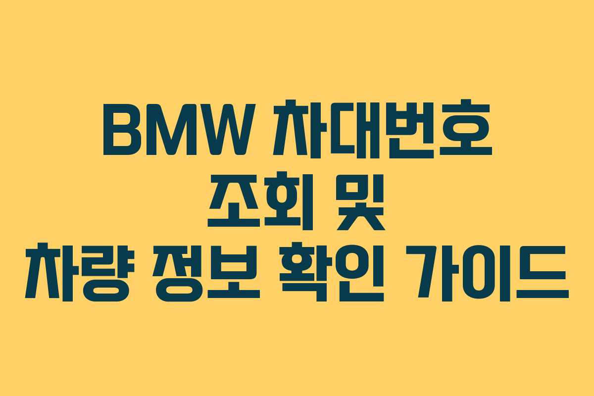 BMW 차대번호 조회 및 차량 정보 확인 가이드