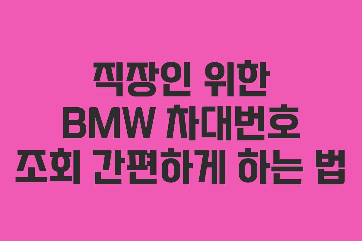 직장인 위한 BMW 차대번호 조회 간편하게 하는 법