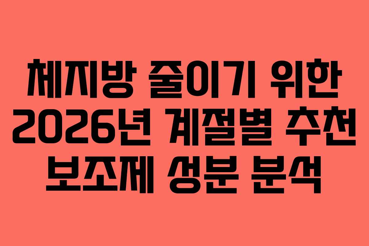 체지방 줄이기 위한 2026년 계절별 추천 보조제 성분 분석