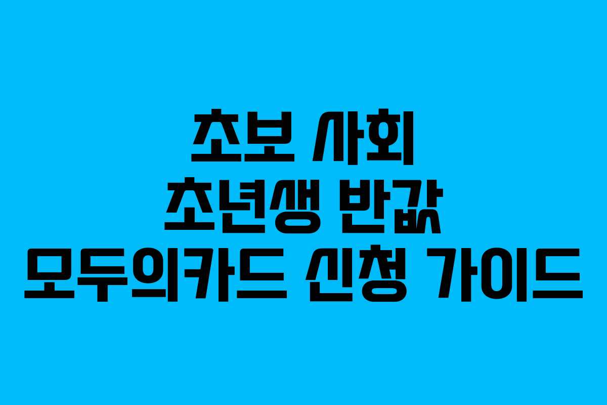 초보 사회 초년생 반값 모두의카드 신청 가이드