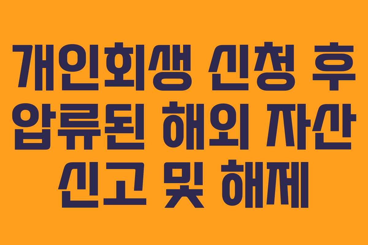 개인회생 신청 후 압류된 해외 자산 신고 및 해제