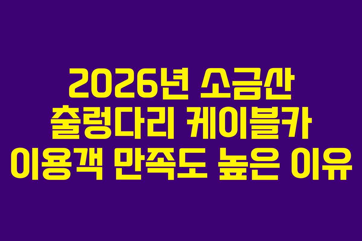 2026년 소금산 출렁다리 케이블카 이용객 만족도 높은 이유