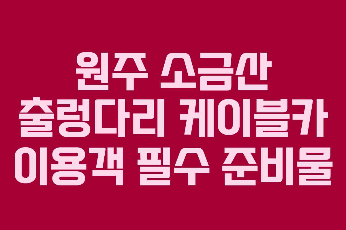 원주 소금산 출렁다리 케이블카 이용객 필수 준비물