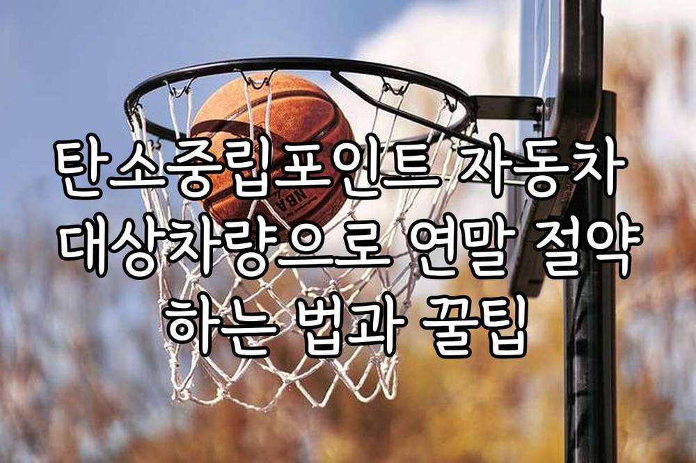 탄소중립포인트 자동차 대상차량으로 연말 절약하는 법과 꿀팁