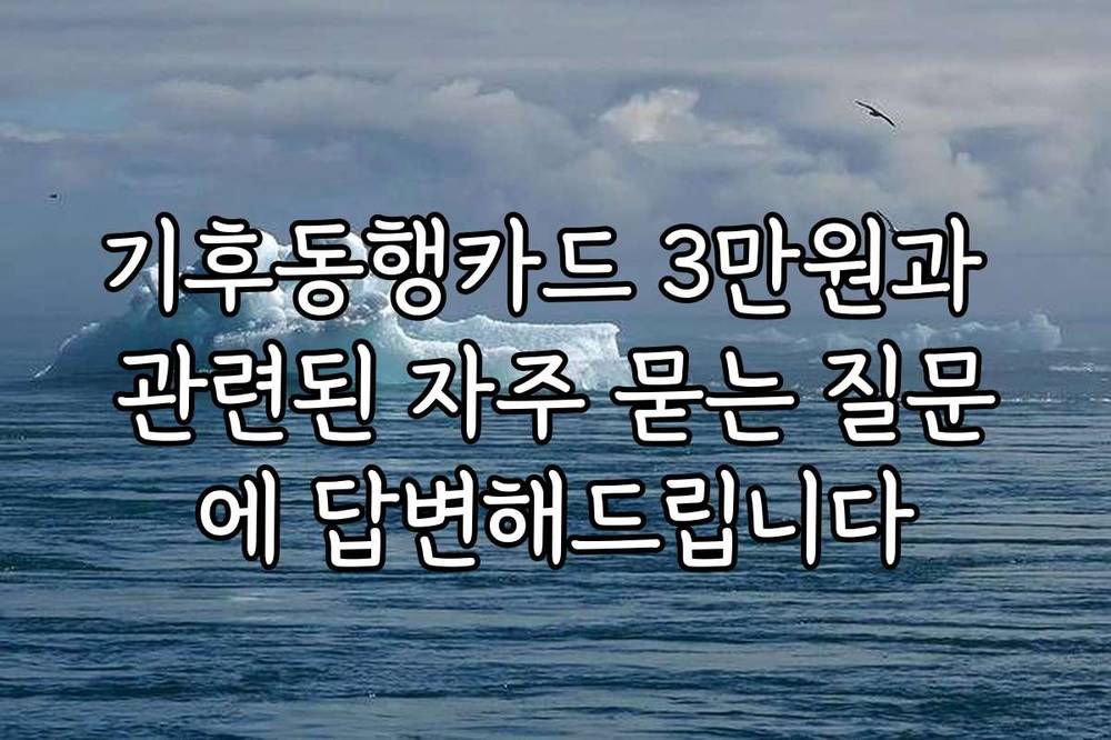 기후동행카드 3만원과 관련된 자주 묻는 질문에 답변해드립니다