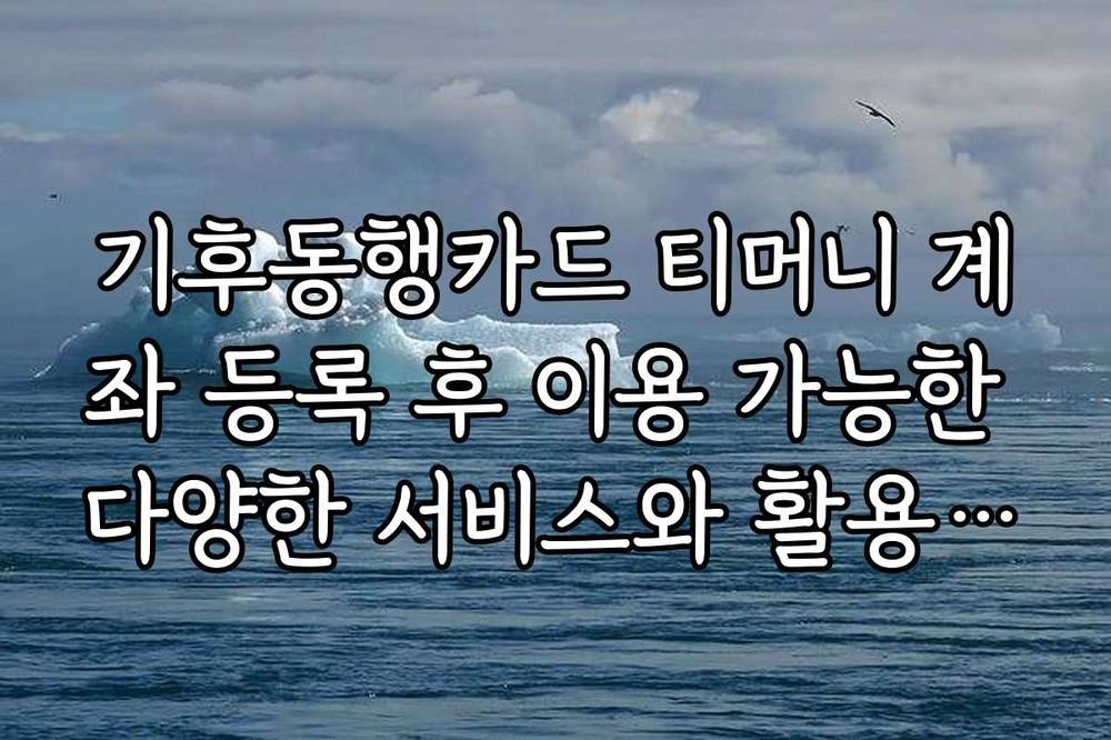 기후동행카드 티머니 계좌 등록 후 이용 가능한 다양한 서비스와 활용법을 알아봅시다