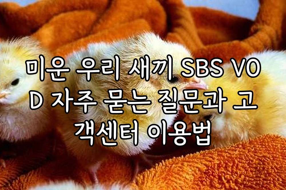 미운 우리 새끼 SBS VOD 자주 묻는 질문과 고객센터 이용법