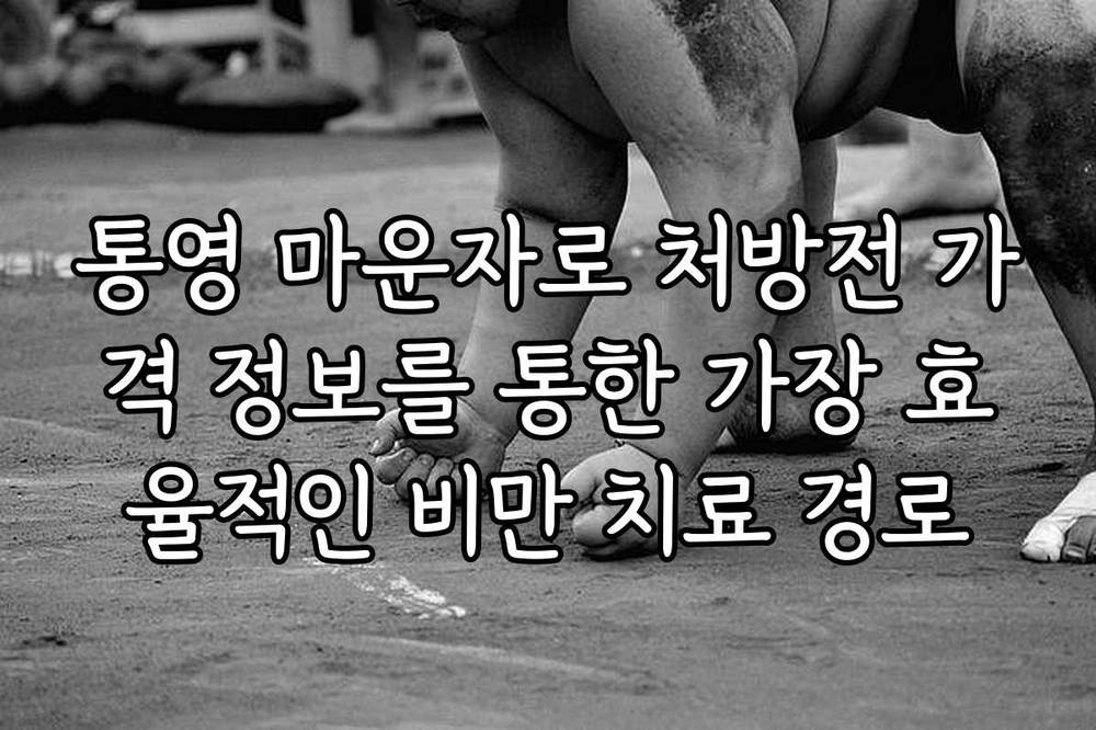 통영 마운자로 처방전 가격 정보를 통한 가장 효율적인 비만 치료 경로
