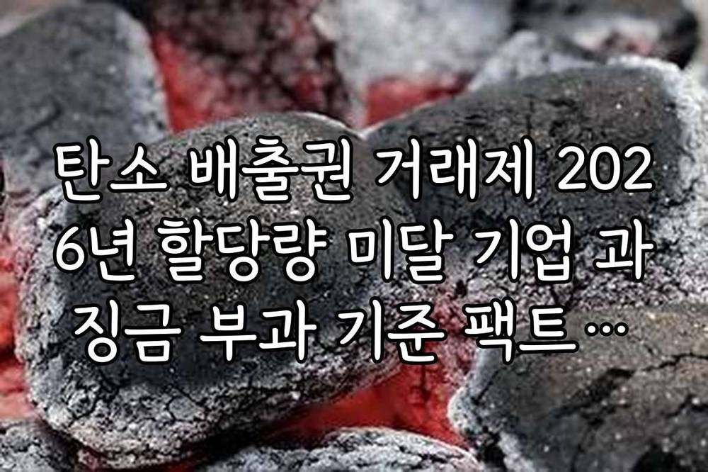 탄소 배출권 거래제 2026년 할당량 미달 기업 과징금 부과 기준 팩트체크