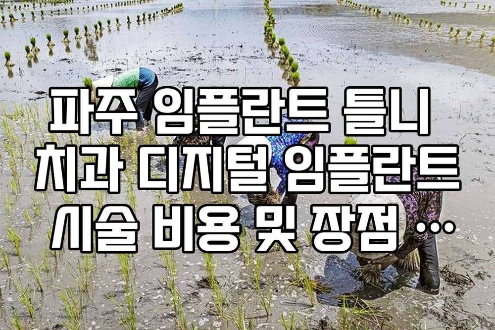 파주 임플란트 틀니 치과 디지털 임플란트 시술 비용 및 장점 비교 안내