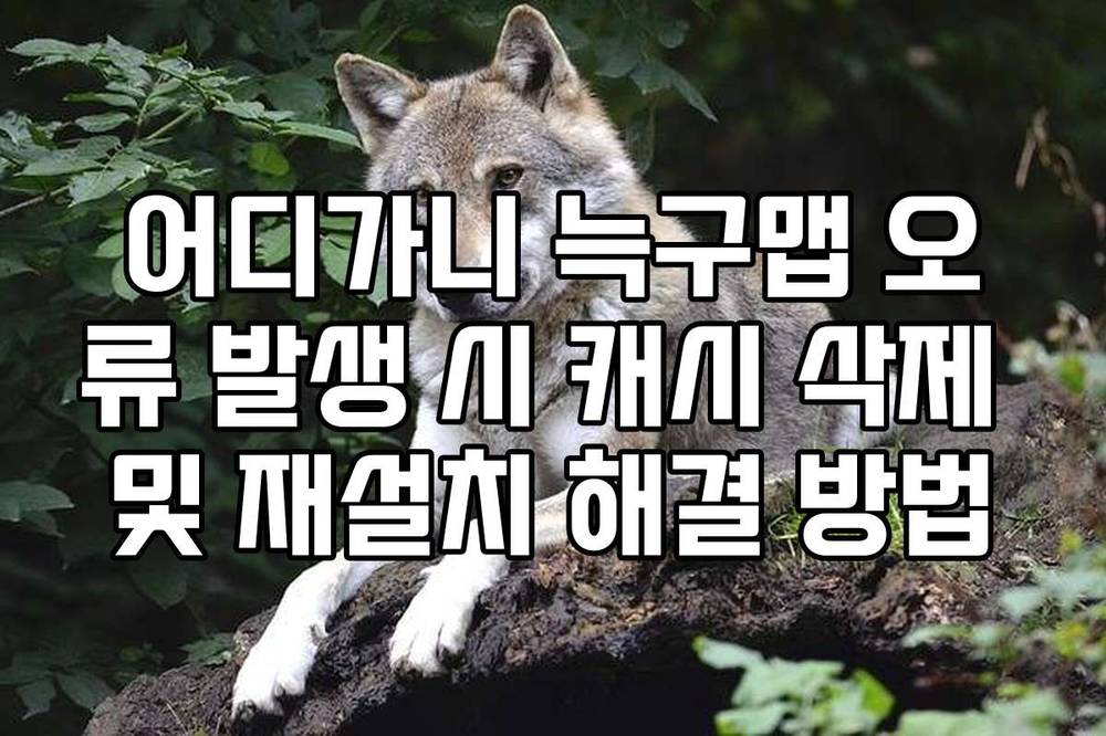 어디가니 늑구맵 오류 발생 시 캐시 삭제 및 재설치 해결 방법