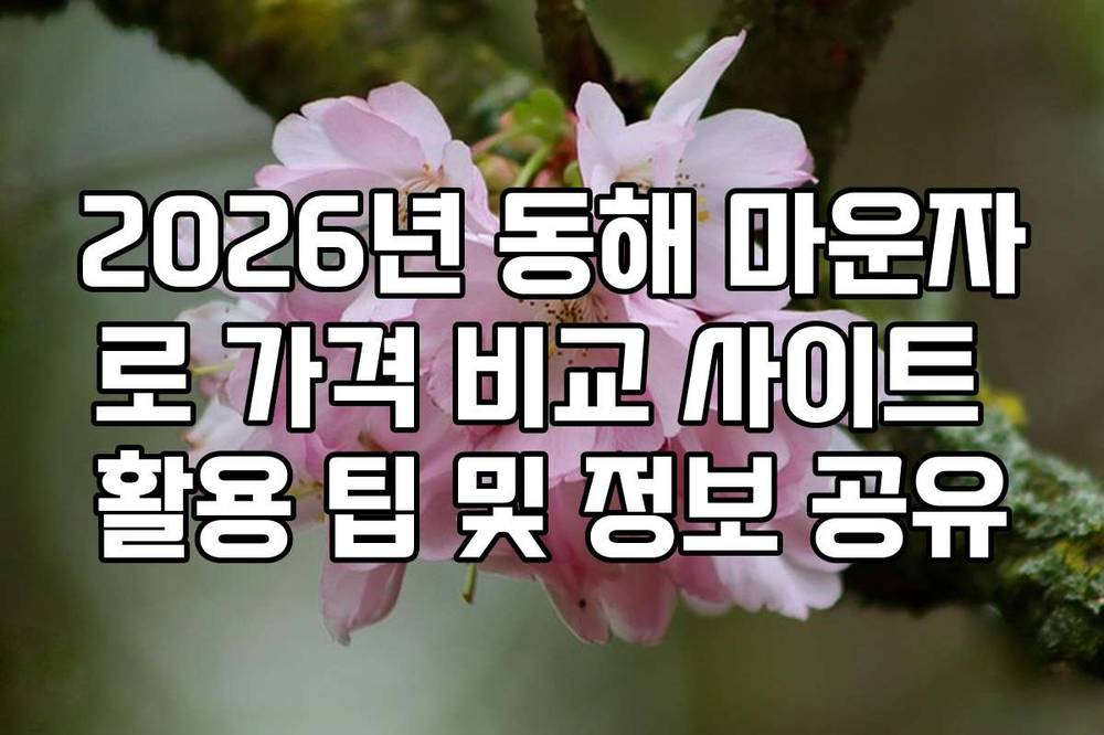 2026년 동해 마운자로 가격 비교 사이트 활용 팁 및 정보 공유