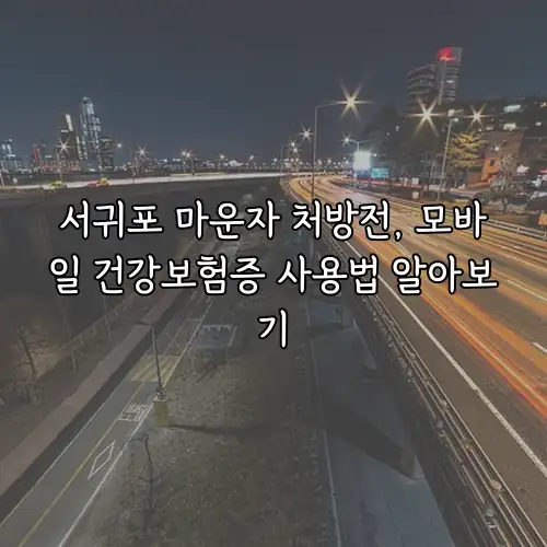 서귀포 마운자 처방전, 모바일 건강보험증 사용법 알아보기