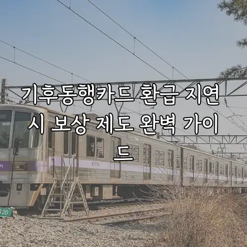 기후동행카드 환급 지연 시 보상 제도 완벽 가이드