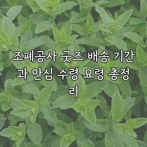 조폐공사 굿즈 배송 기간과 안심 수령 요령 총정리