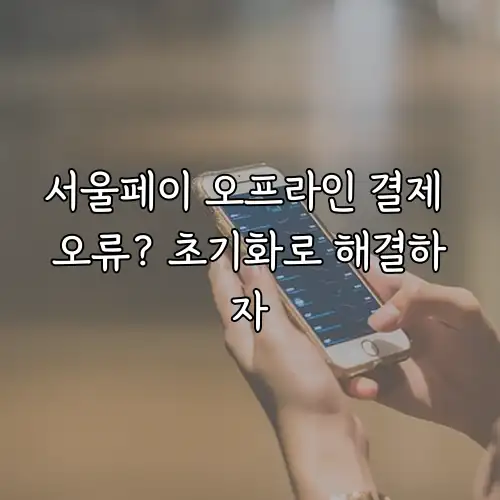서울페이 오프라인 결제 오류? 초기화로 해결하자
