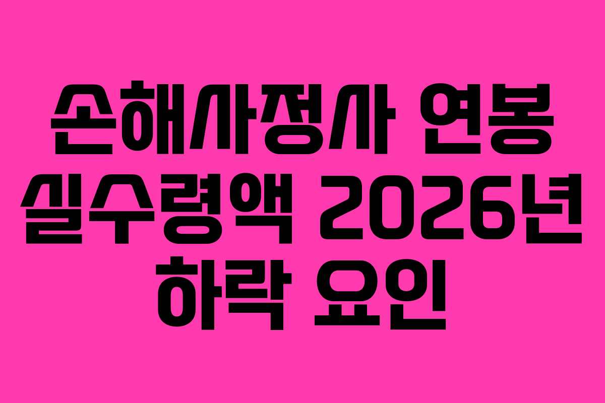 손해사정사-연봉-실수령액-2026년-하락-요인