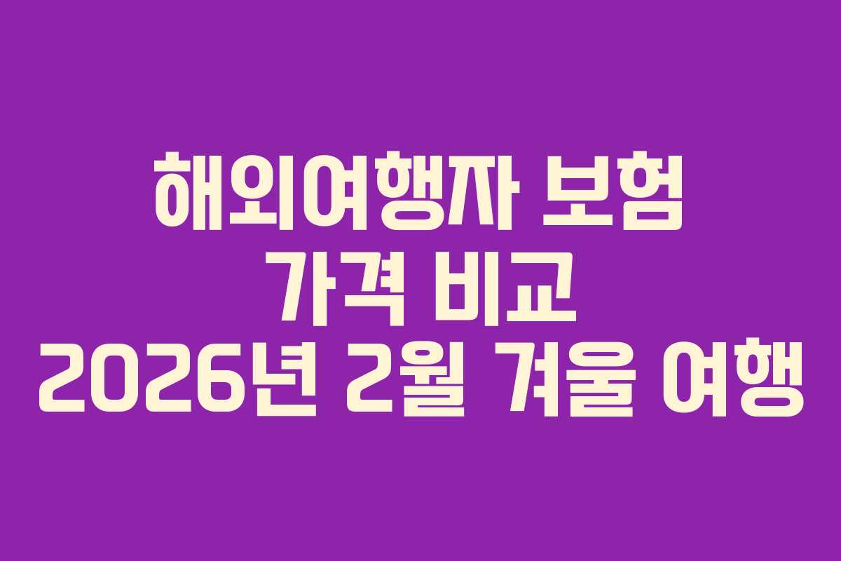 해외여행자-보험-가격-비교-2026년-2월-겨울-여행