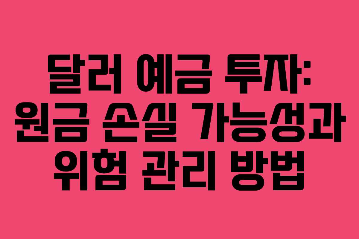 달러-예금-투자-원금-손실-가능성과-위험-관리-방법