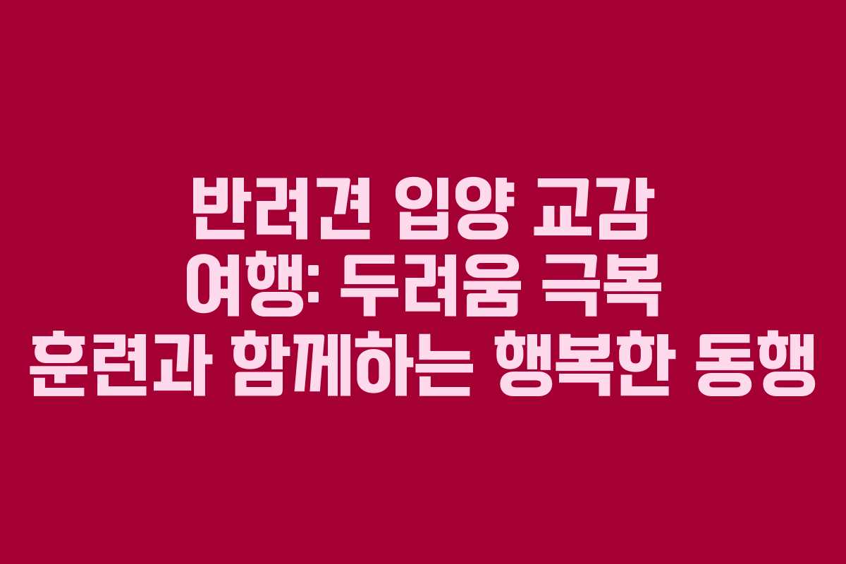 반려견-입양-교감-여행-두려움-극복-훈련과-함께하는-행복한-동행