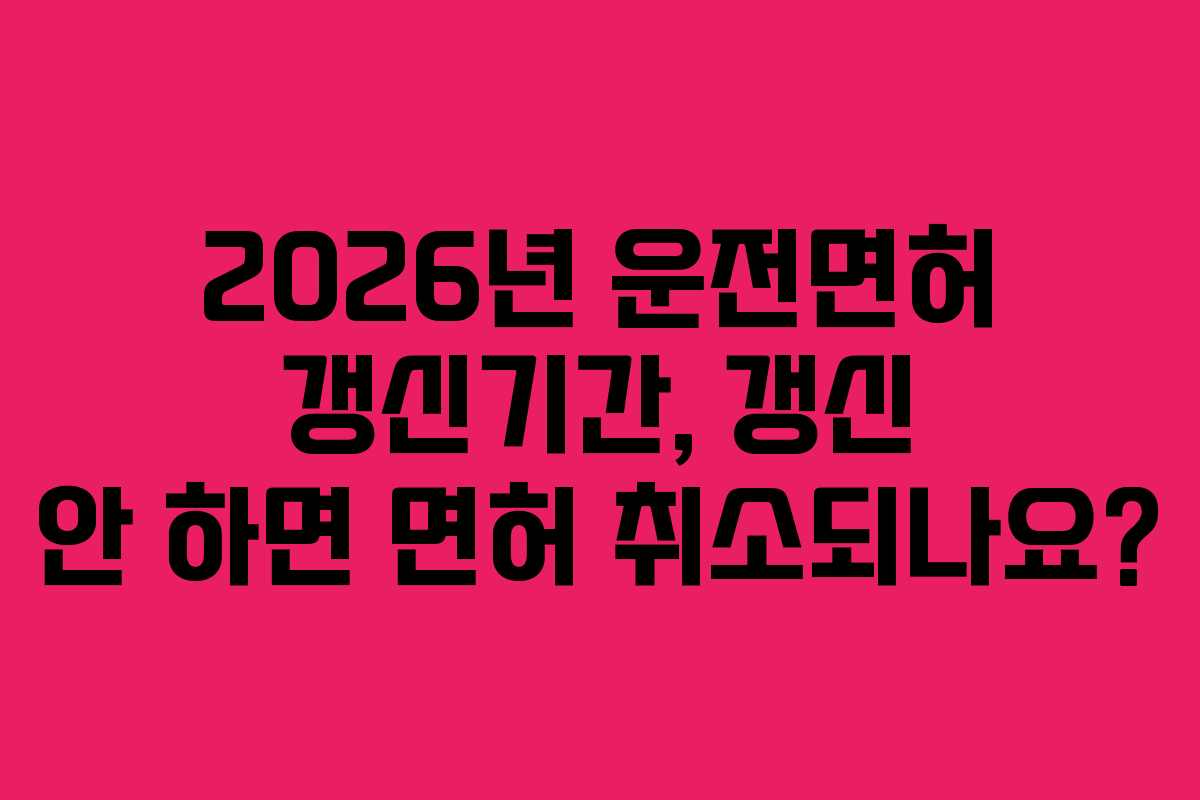 2026년-운전면허-갱신기간,-갱신-안-하면-면허-취소되나요