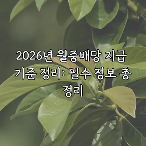 2026년 월중배당 지급 기준 정리: 필수 정보 총정리