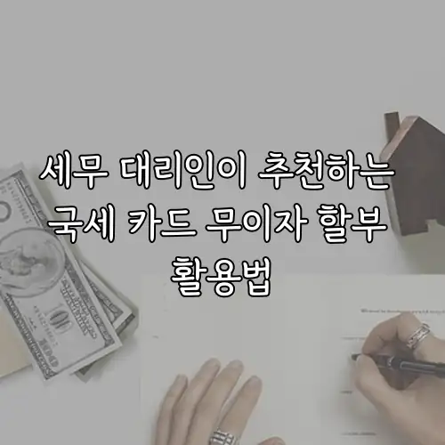 세무 대리인이 추천하는 국세 카드 무이자 할부 활용법