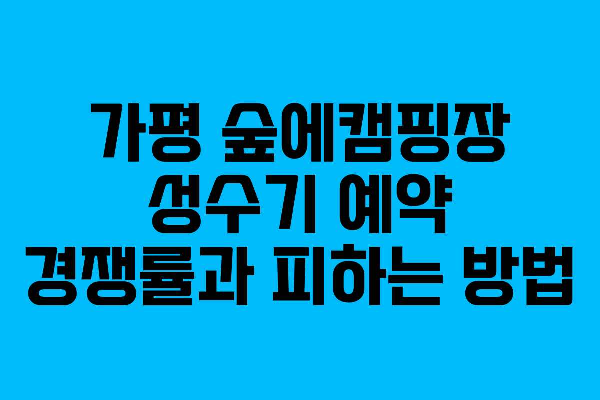가평-숲에캠핑장-성수기-예약-경쟁률과-피하는-방법