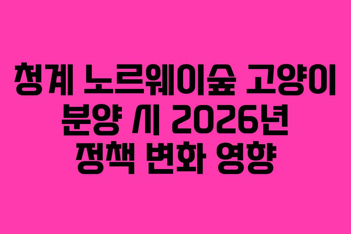 청계-노르웨이숲-고양이-분양-시-2026년-정책-변화-영향