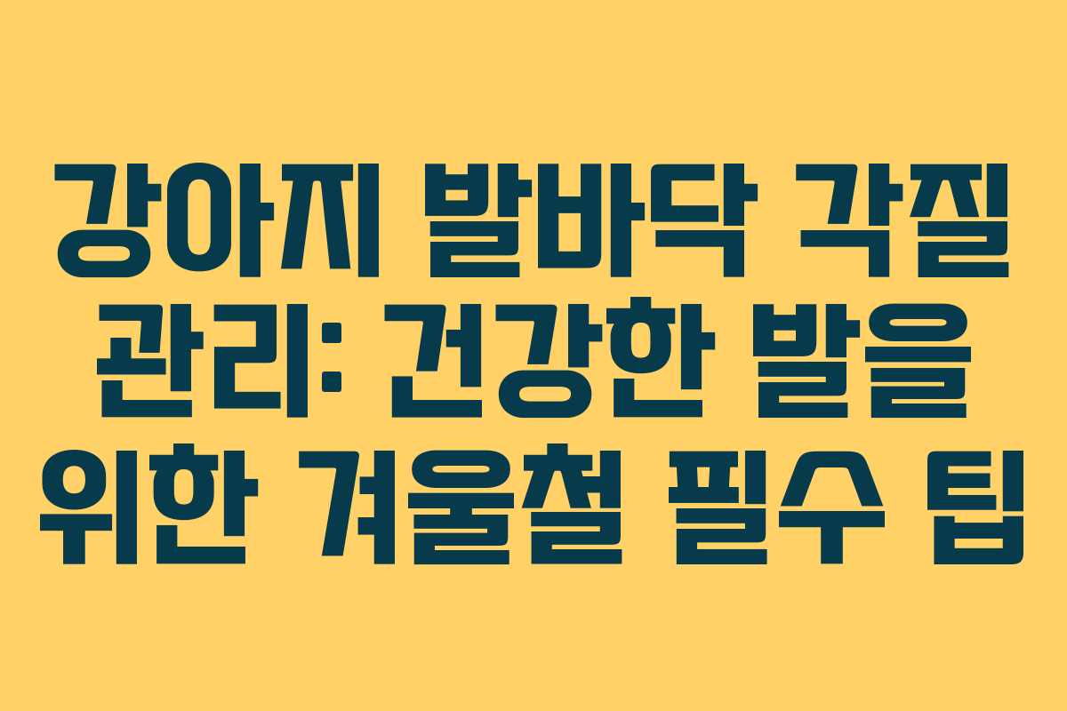 강아지-발바닥-각질-관리-건강한-발을-위한-겨울철-필수-팁